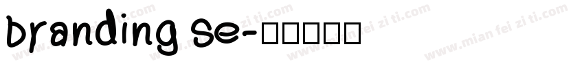 branding se字体转换